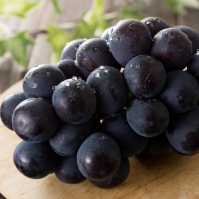 【新鮮・産直】和歌山かつらぎ町産のたねなしピオーネ約2kg【2026年度発送分】上富田町【配送不可地域：離島・北海道・沖縄県】