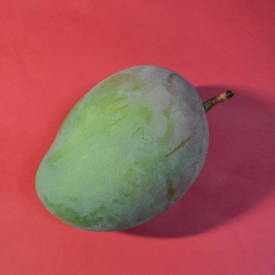 【希少マンゴー】濃厚キーツマンゴー　約1kg(1～3玉)【配送不可地域：離島】