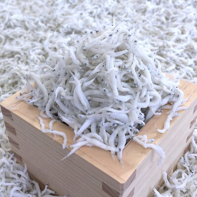 釜あげしらす 木箱入り900g【配送不可地域：離島・北海道・沖縄県】