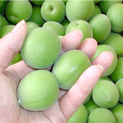 厳選南高梅 フレッシュ青梅(生梅)【緑】3kg 特大サイズ 朝取り手選別 南高梅 梅酒用 うめ【配送不可地域：離島・北海道・沖縄県・東北】