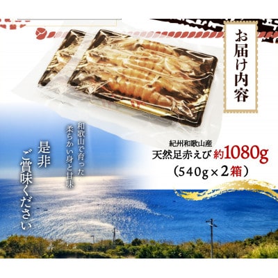 紀州和歌山産天然足赤えび540g×2箱(270g×4パック)　化粧箱入【配送不可地域：離島】