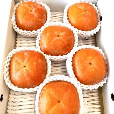 【秋の味覚】和歌山産たねなし柿約2kg  化粧箱入り(2L～4Lサイズ)(上富田町)2026年度発送【配送不可地域：離島】