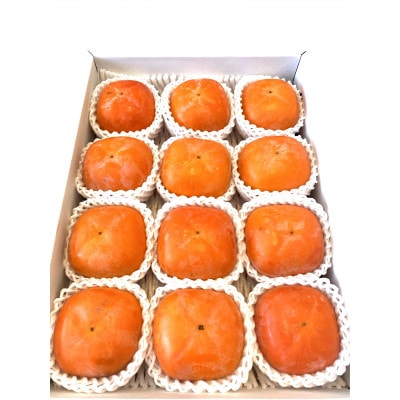 【秋の味覚】和歌山産たねなし柿約4kg  化粧箱入り(2L～4Lサイズ)(上富田町)【配送不可地域：離島】