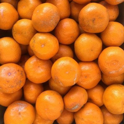 【訳あり・ご家庭用】和歌山由良町産のみかん約5kg(上富田町)
