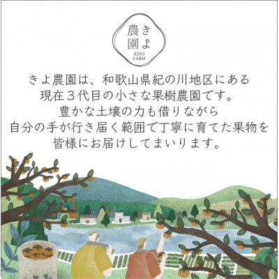 先行受付　柿(種無し)　赤秀品大玉　6個入　約1.8kg【配送不可地域：離島】