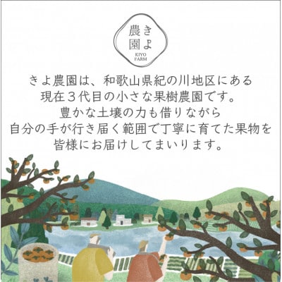先行受付　大粒まりひめイチゴ　朝摘　6個～11個入×4パック【配送不可地域：離島】
