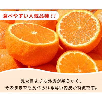 【ご家庭用】紀州有田産不知火(しらぬひ) 6kg【配送不可地域：離島】