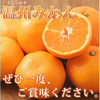 【2026年11月下旬より発送】有田の小粒みかん5kg　(S～3Sサイズ混合)