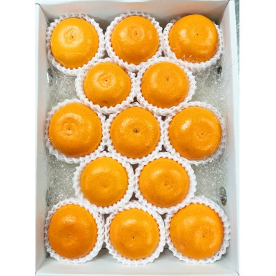 とろける食感!ジューシー柑橘　せとか　約2.5kg