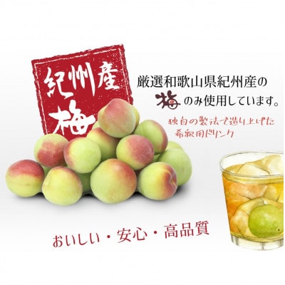 希釈用梅ドリンク　紀州産梅ハニップ 590g 3本セット