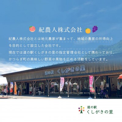 先行受付　まりひめイチゴ L～2L 12粒～15粒×4パック【配送不可地域：離島】