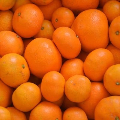 「農園直送」有田の旬の食べごろみかん約5kg(サイズ混合)(上富田町)