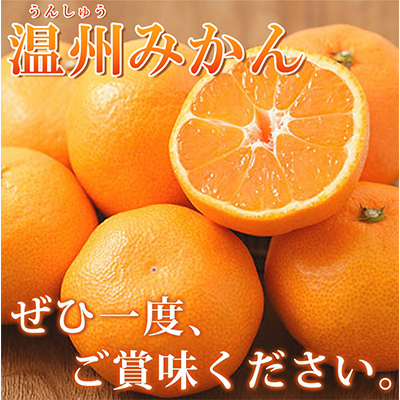 【上富田町】【2026年11月下旬より発送】【ご家庭用訳アリ】紀州有田産濃厚完熟温州みかん7.5kg