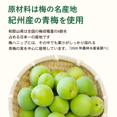 希釈用梅ドリンク 梅ハニップ 3本セット