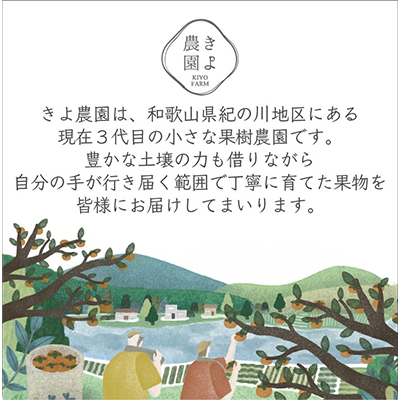 先行受付　不知火　希少な樹上完熟!　秀品大玉　6個入