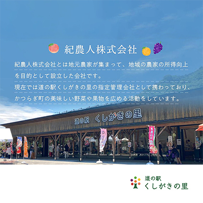 先行受付!　桃の王様【白鳳】　特秀品　約2kg　6～9個入【配送不可地域：離島】