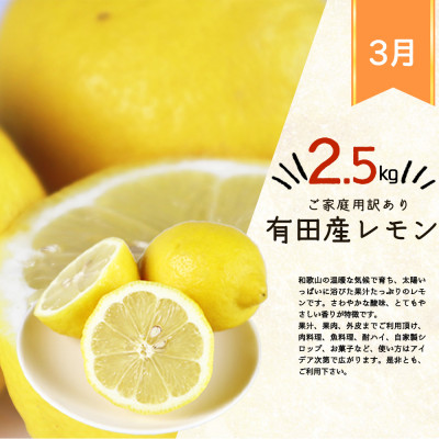 【発送月固定定期便】紀州和歌山産旬のご家庭用柑橘セット(みかん・不知火・レモン)全3回【配送不可地域：離島】