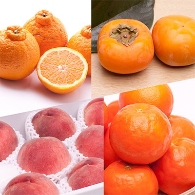 【発送月固定定期便】フルーツ定期便B【フルーツ定期便】【和歌山県有田】全6回【配送不可地域：離島・北海道・沖縄県・東北・関東・九州】