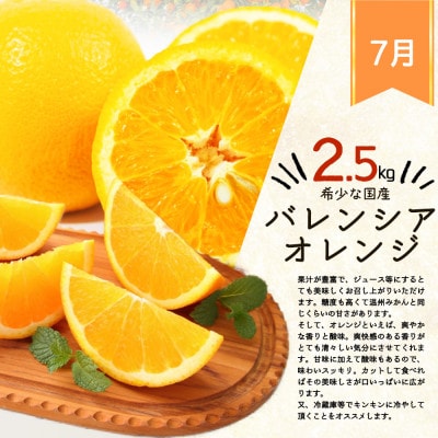 【発送月固定定期便】紀州和歌山産旬のフルーツセット(みかん・なつみ・バレンシア)全3回【配送不可地域：離島】