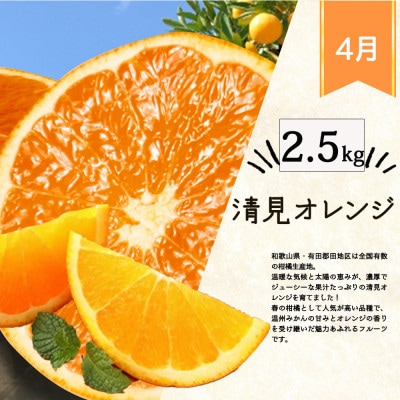 【発送月固定定期便】紀州和歌山産旬の柑橘セット(みかん・不知火・せとか・清見)全4回