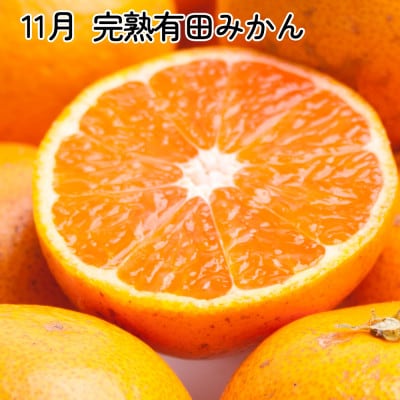 【発送月固定定期便】家庭用 柑橘定期便SS(10～12月)全3回【配送不可地域：離島・北海道・沖縄県】