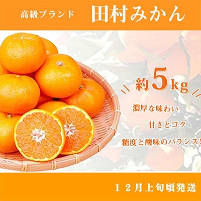 2022年10月発送開始『定期便』紀州和歌山産旬のフルーツセット(ひらたね・富有柿・みかん)全3回【配送不可地域：離島】