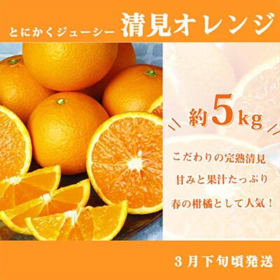 2023年1月発送開始『定期便』紀州和歌山産旬の柑橘セット(みかん・不知火・清見)全3回