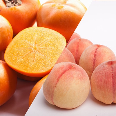 2024年1月発送開始『定期便』【隔月全6回】和歌山の季節のフルーツ定期便S【頒布会】全6回【配送不可地域：離島・北海道・沖縄県・東北・関東・九州】