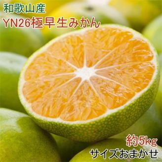 【産直】YN26極早生みかん約5kg(2S～Mサイズおまかせ)(上富田町)【配送不可地域：離島】