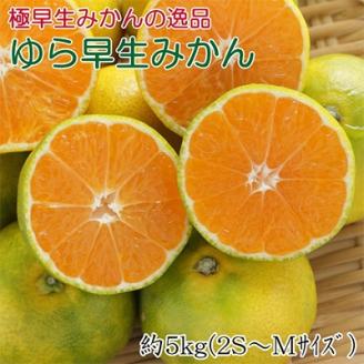 【極早生みかんの逸品】有田産ゆら早生みかん 約5kg(上富田町)