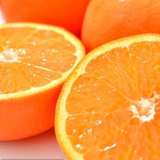 和歌山有田産セミノールオレンジ約5kg(サイズ混合) (上富田町)