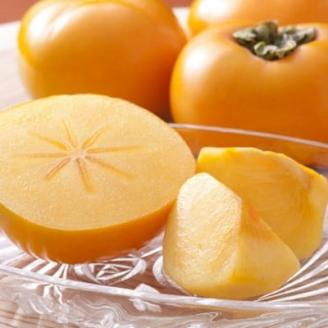 【秋の味覚】和歌山産のたねなし柿約7.5kg(M～2Lサイズおまかせ)(上富田町)【配送不可地域：離島】