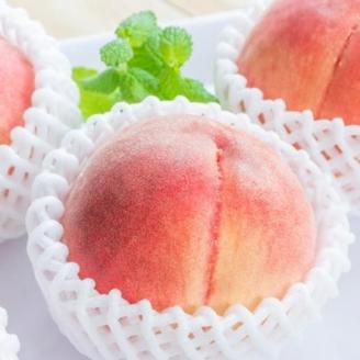 【産直・人気の特産品】和歌山の桃　約4kg・秀選品(上富田町)【配送不可地域：離島】