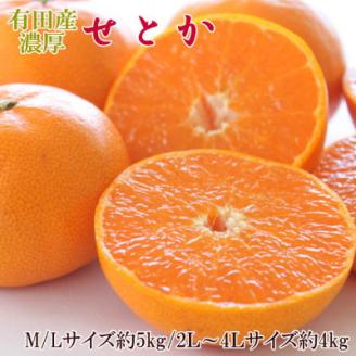 一度は食べていただきたい「有田産のせとか」約4kg～5kg(サイズおまかせ・青秀以上)【上富田町】