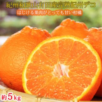 【上富田町】果肉プリプリ!　完熟紀州デコ(不知火) 約5kg
