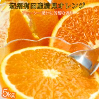 【上富田町】とにかくジューシー清見オレンジ　5kg