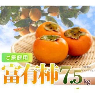 【2026年発送】【ご家庭用わけあり】和歌山秋の味覚　富有柿　約7.5kg【上富田町】