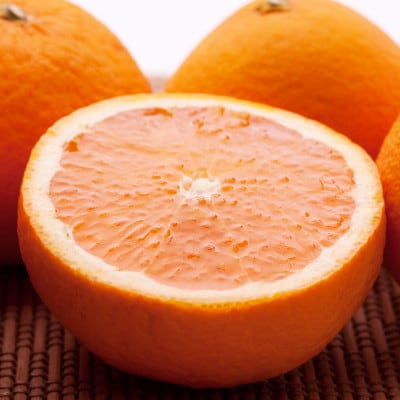 ＜2月より発送＞家庭用 清見オレンジ1.5kg+45g(傷み補償分)【光センサー】【訳あり】【配送不可地域：離島・北海道・沖縄県】