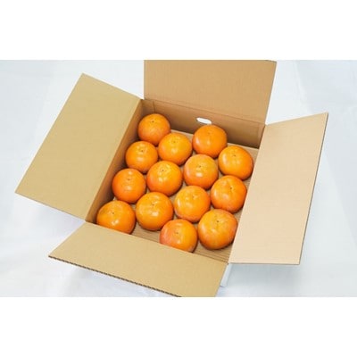 【2021年11月上旬以降出荷】和歌山県産 富有柿 約7.5kg (ご家庭用)【配送不可地域：離島】