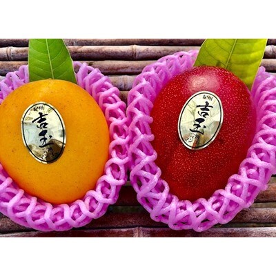 紀州完熟マンゴー『吉玉』【約1kg程度(2～3玉)入り】 【配送不可地域：離島】