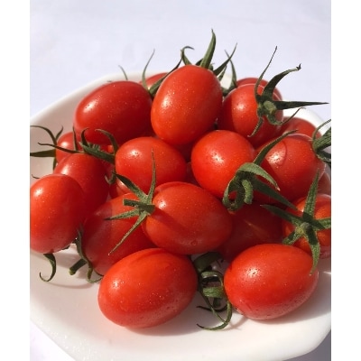 和歌山県産 ミニトマト「アイコ」約2kg【2022年6月上旬以降出荷】(上富田町)【配送不可地域：離島】