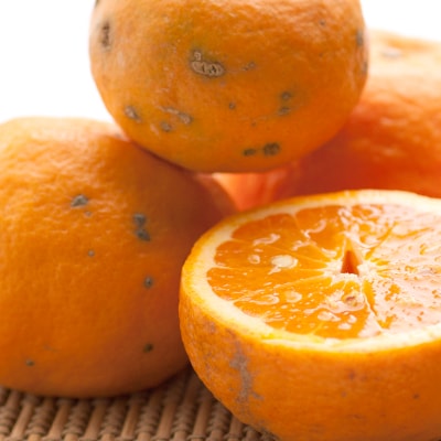 ＜6月より発送＞家庭用なつみ2kg+60g(傷み保証分)　【訳あり】【南津海】(上富田町)