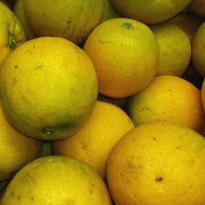 【2021年6～7月発送】【みかん名産地和歌山有田】爽快バレンシアオレンジ(ご家庭用)　約7.5kg