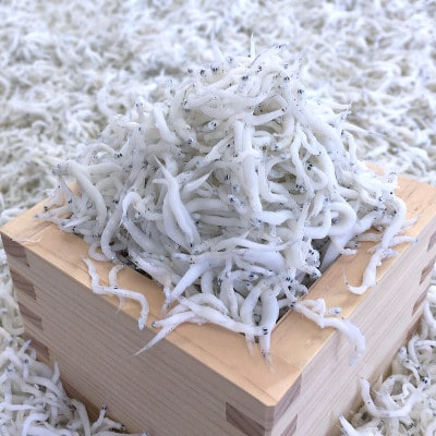 釜あげしらす 化粧箱入り900g【配送不可地域：離島・北海道・沖縄県】