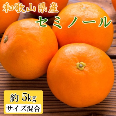 和歌山県産セミノールオレンジ約5kg(サイズ混合　秀品) (上富田町)