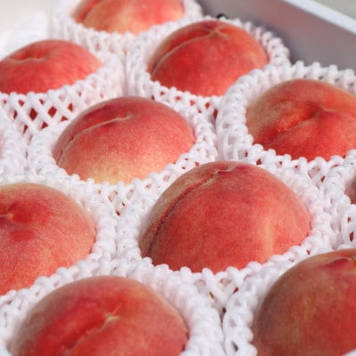 和歌山県産　桃(もも)　12玉～16玉　秀品【配送不可地域：離島・北海道・沖縄県】