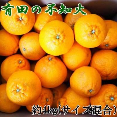 【濃厚】有田産不知火約4kg(M～3Lサイズ混合)(上富田町)