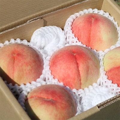 和歌山県産　桃(もも)　5玉～8玉　秀品【配送不可地域：離島・北海道・沖縄県】