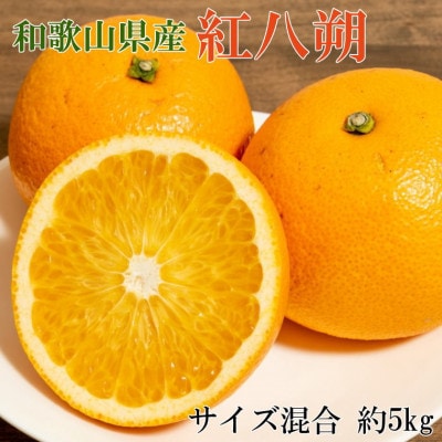 【希少品種】和歌山県産紅八朔約5kg(サイズ混合)(上富田町)