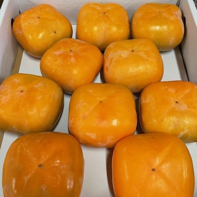 大玉サイズの平たねなし柿「クイーンパーシモン」(10玉～12玉おまかせ)【上富田町】【配送不可地域：離島】